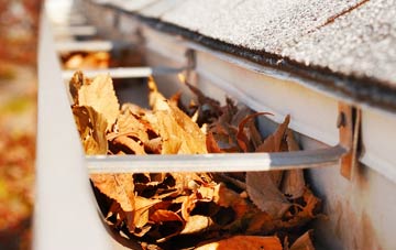 Leebotwood gutter cleaning companies