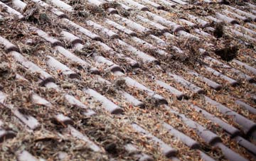 Leebotwood roof cleaning companies