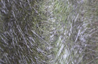 Leebotwood fibreglass roof work